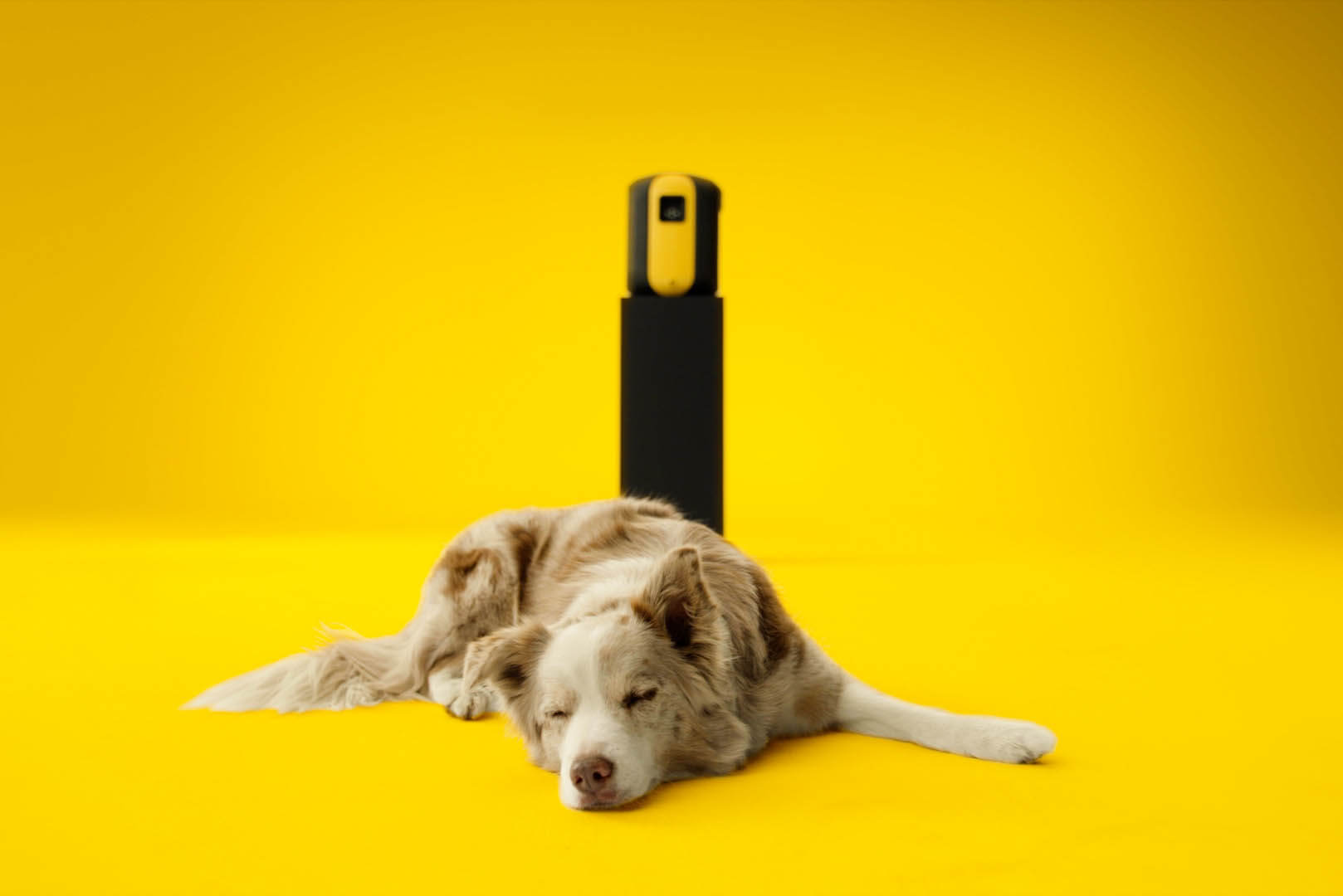 Новый  SpiroVent Superior S250